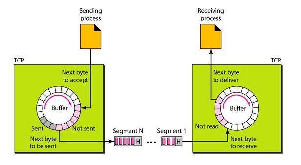 tcp services_segments